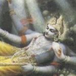 Profile picture of Shashwat