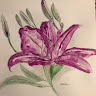 Profile picture of Sureyaa-Neupane