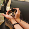 Profile picture of jimin-ssi-labley