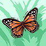 Profile picture of vinita-tulsyan