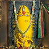 Profile picture of Raje
